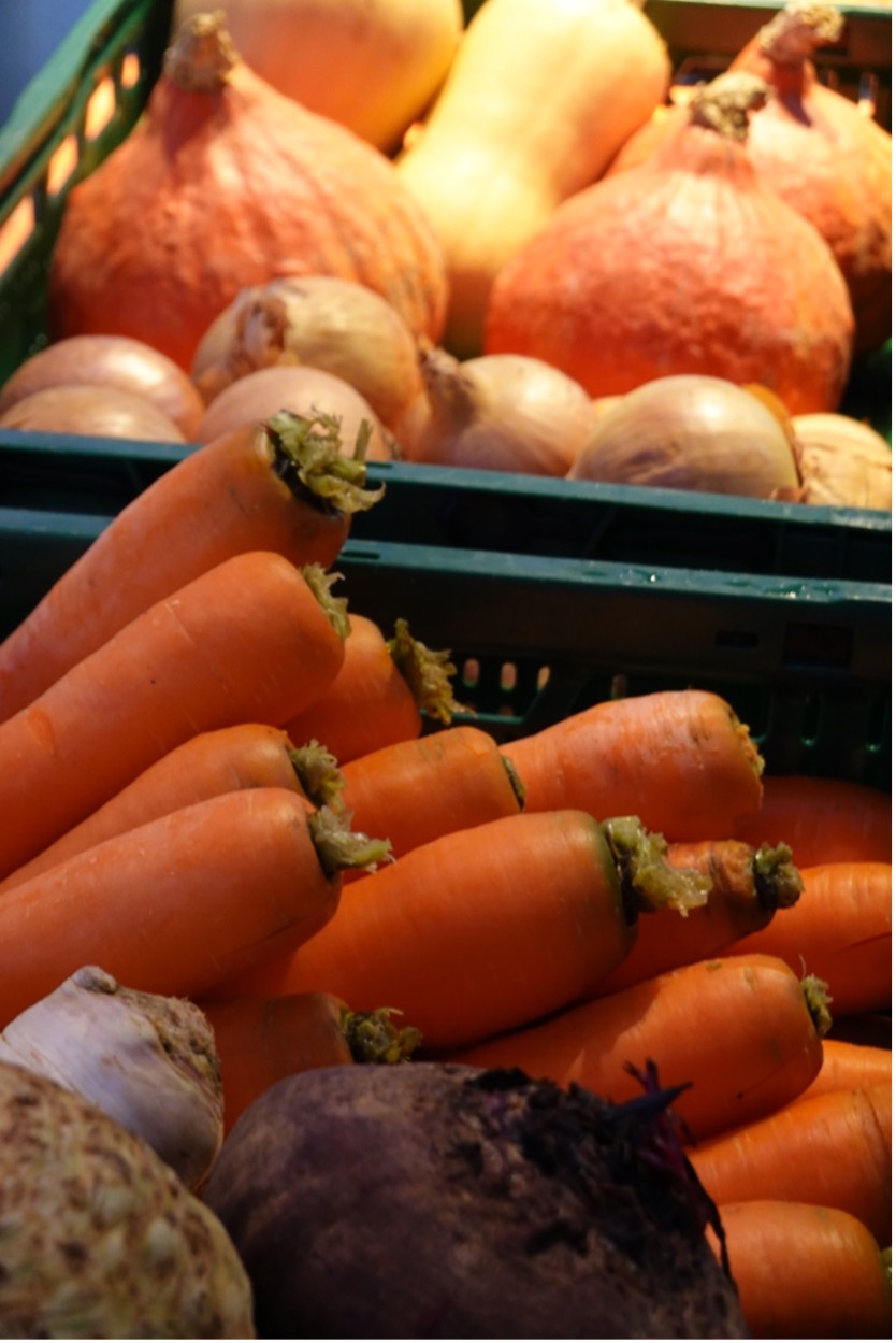 Picture of various vegetables