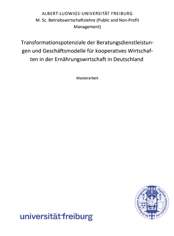 Picture of the Master Thesis cover