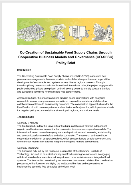 Screenshot of the Policy Brief