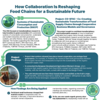 Visual story of Co-SFSC