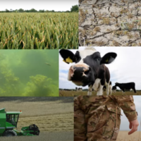 Colloquium_Urban Food Sustainability Cover