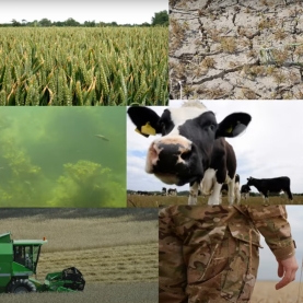 Colloquium_Urban Food Sustainability Cover