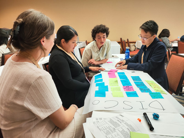 Co-Creation during Congress