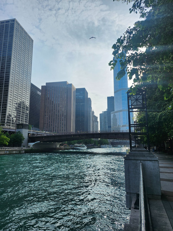 Chicago City View