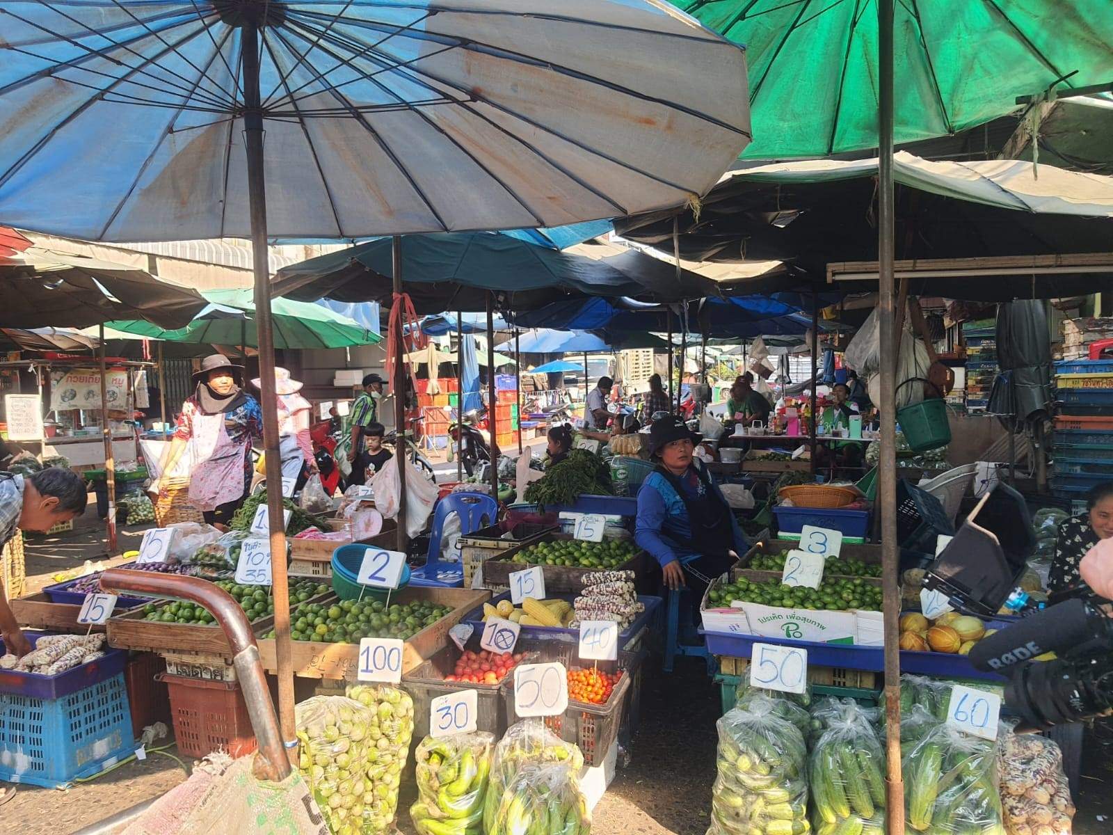 traditional market in Bangkok