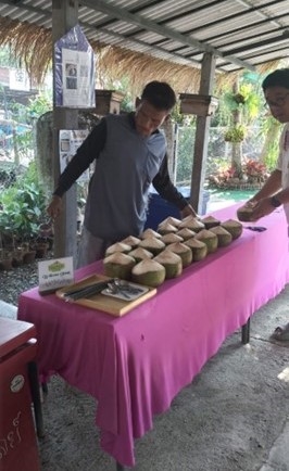 man selling coconuts atBankachao organic farm