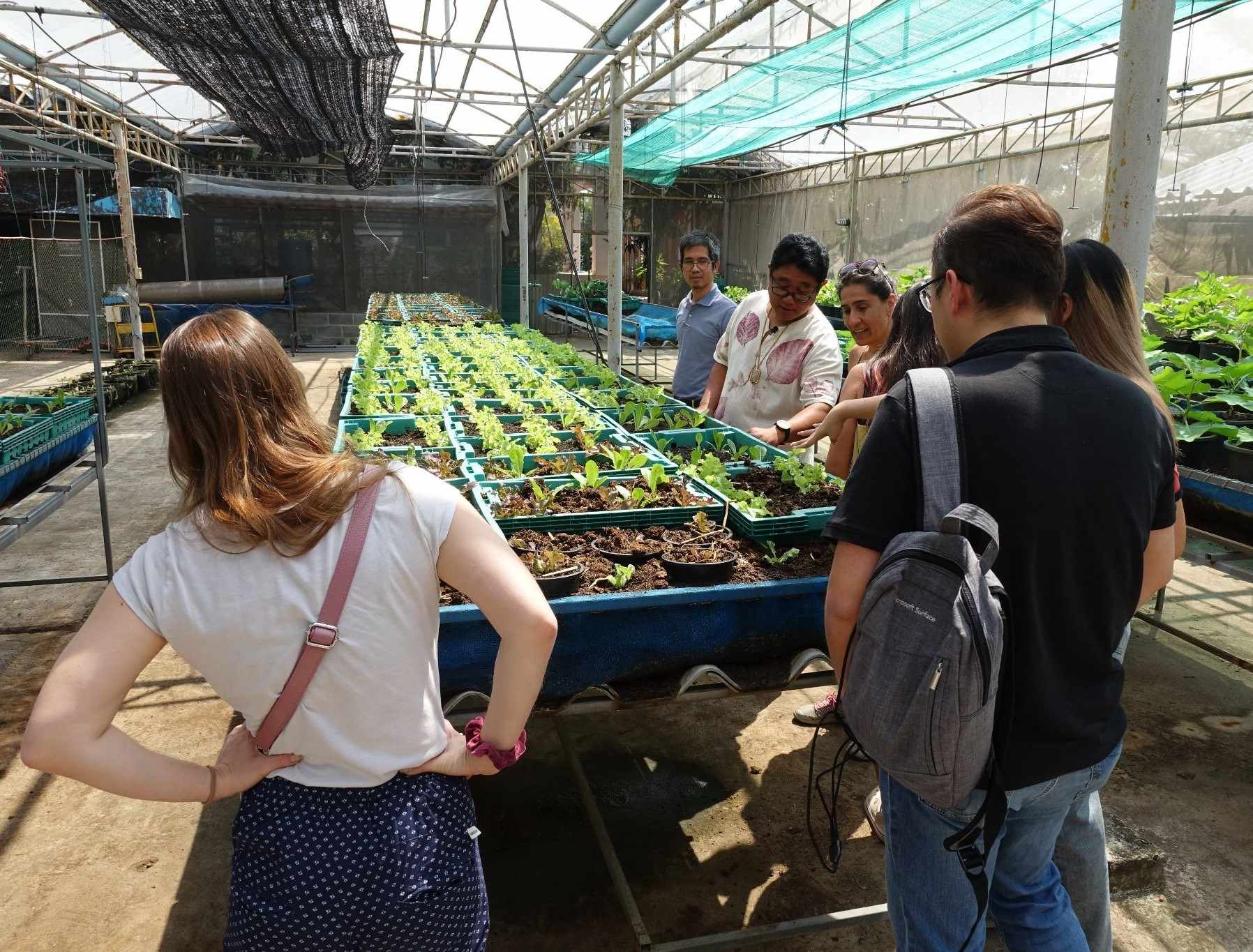 eco composting at Bangkachao Organic Farm 