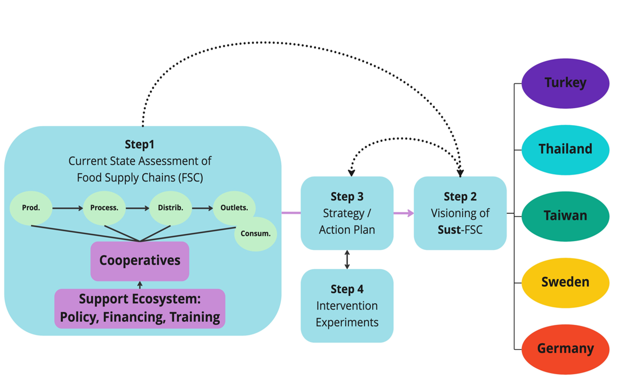 Graphic shows overview about project steps